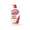 Lifebuoy Silver 99.9% Anti-Bacterial Protection Hand Wash 450ml